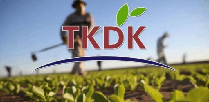 TKDK Nedir?