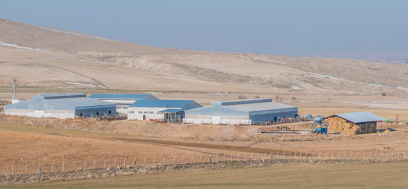 Ballıpınar Petrol /Afyonkarahisar