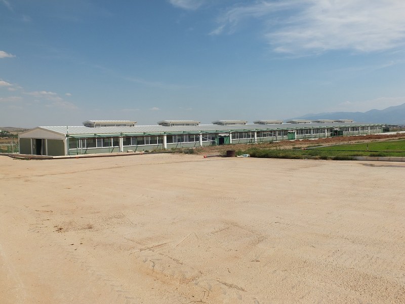 Bolvadin Erkmen /Afyonkarahisar