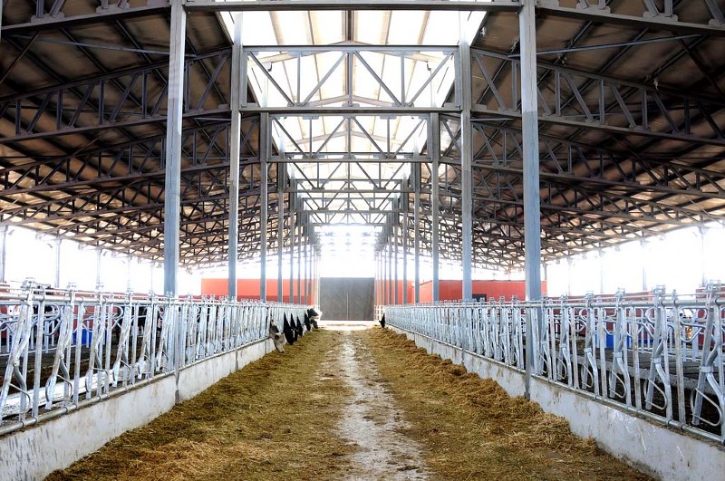 Dağdeviren Hayvancılık/Burdur
