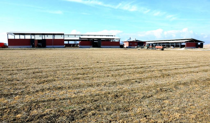 Dağdeviren Hayvancılık/Burdur