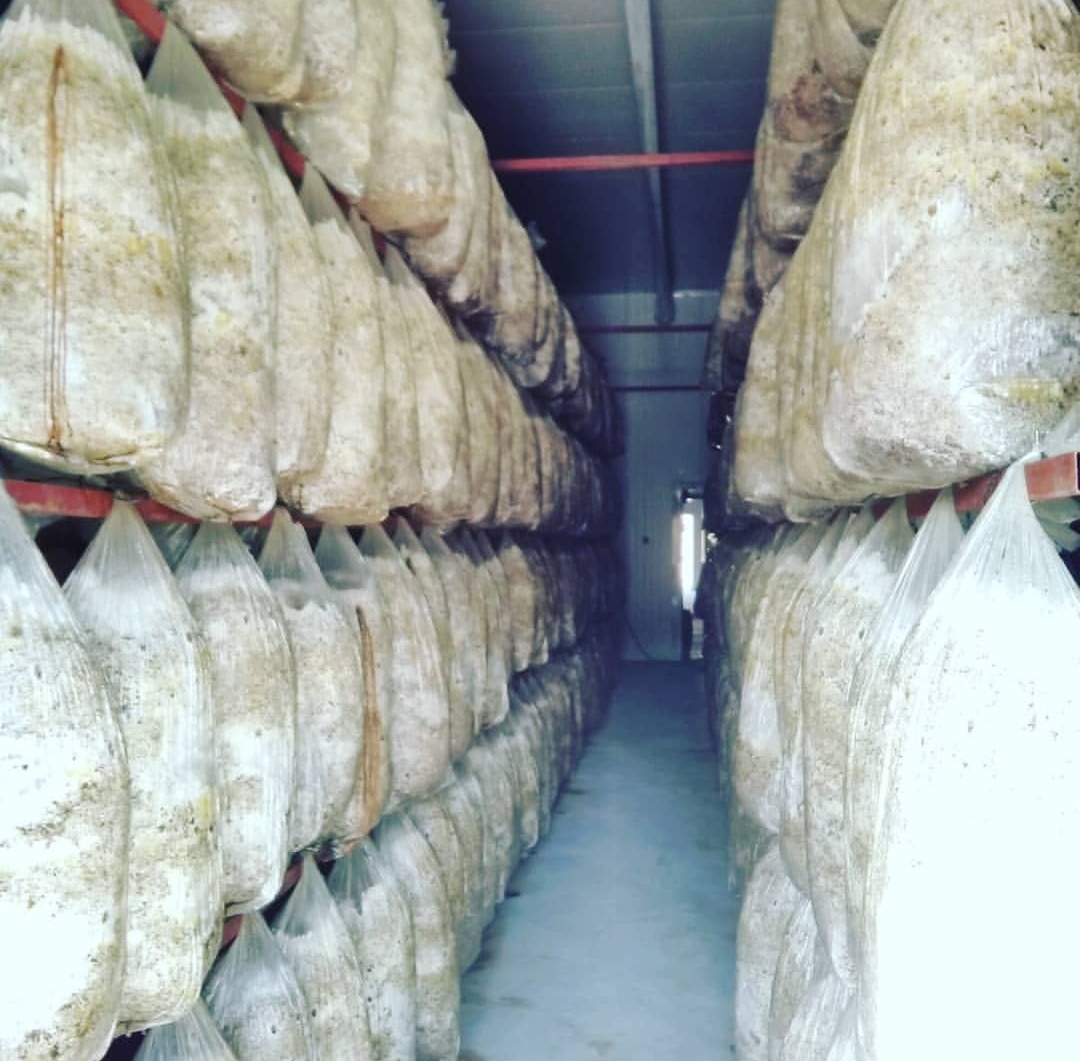 Emine Bilgiç / Burdur
