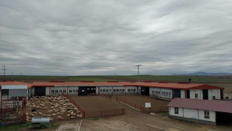 Emirdağ Organik Hayvancılık/Afyonkarahisar