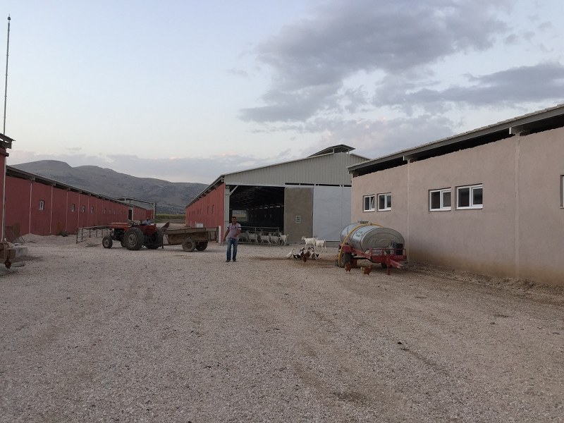 Eraltan Hayvancılık / Burdur