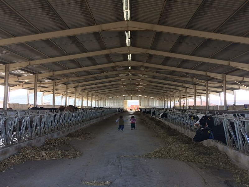 Gümüşoğulları Hayvancılık/Burdur