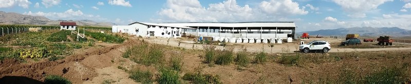 Gümüşoğulları Hayvancılık/Burdur