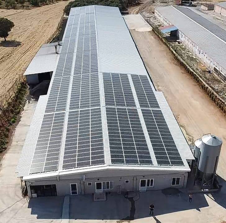 Güney Hayvancılık /Uşak 