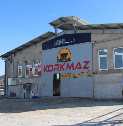 Korkmaz Besi / Isparta