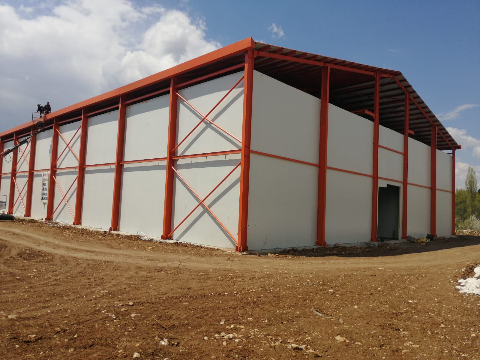 Modern Yaş Sebze Ve Meyve / Burdur