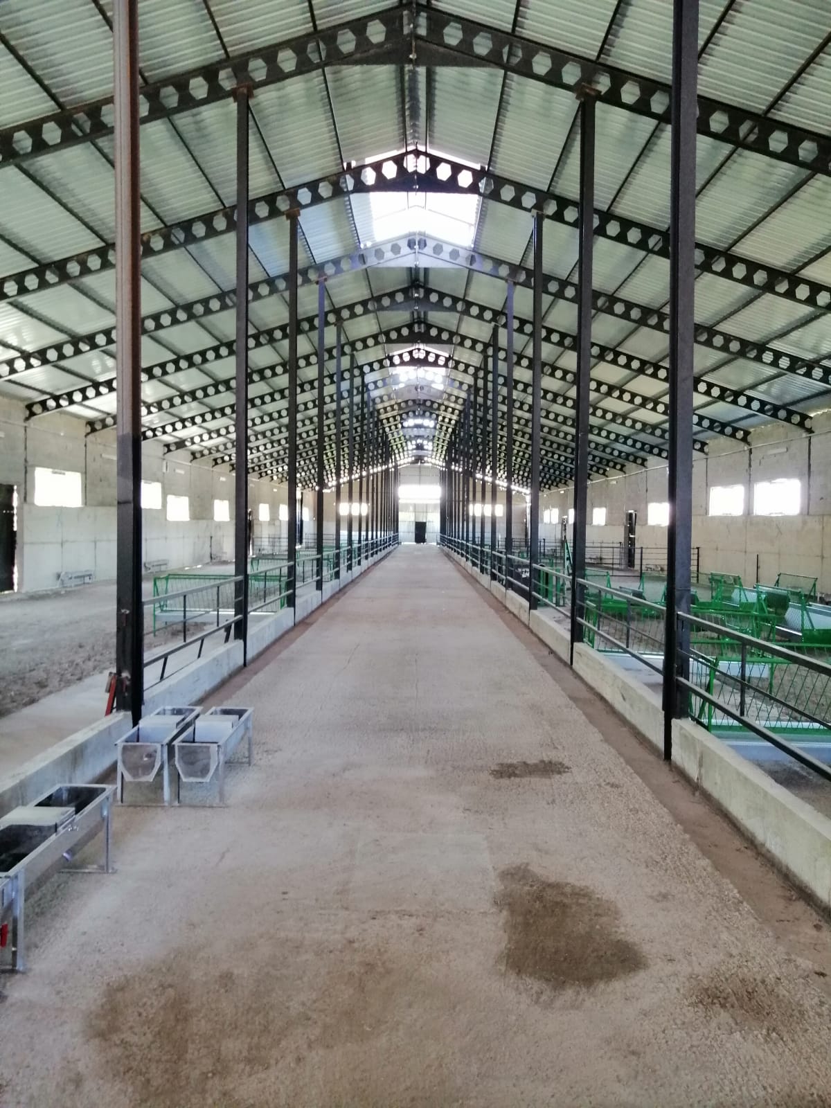 Mustafa Erdem Üstüner/ Burdur