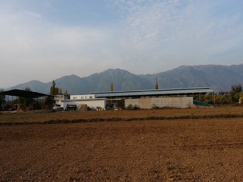 Nuri Güler/Aydın