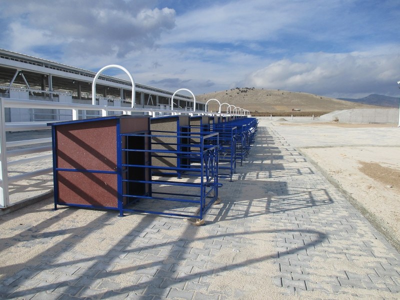 Şekerzade Hayvancılık/Burdur